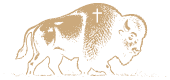 Iron & Faith bison mark